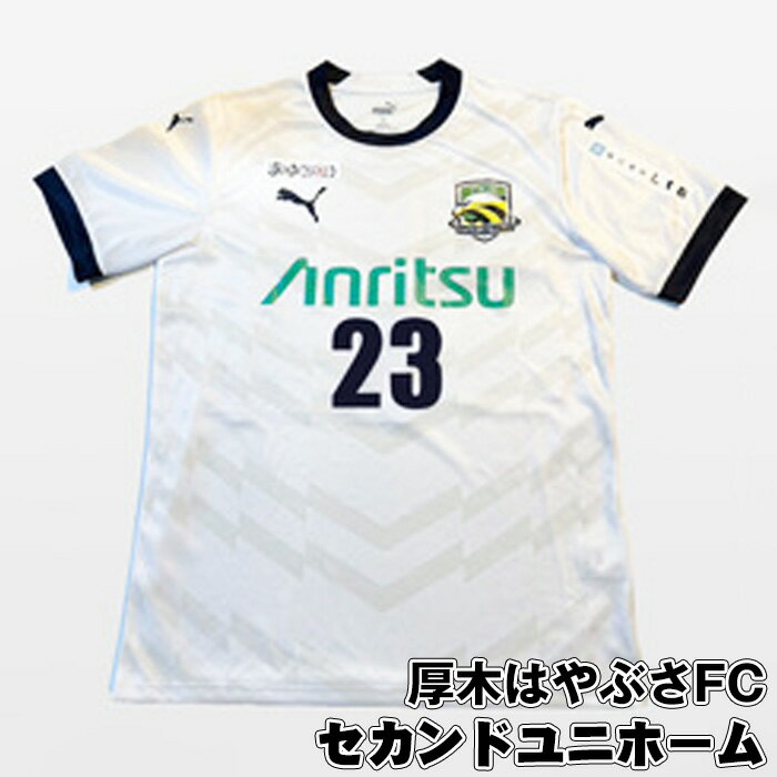 【ふるさと納税】厚木はやぶさFC　セカンドユニホーム ／ サッカー ユニフォーム スポーツ 2024シーズン 送料無料 神奈川県