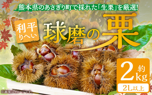 【発送時期：2026年9月中旬～9月下旬】熊本県ＪＡくま産　球磨の栗　利平 2kg(2L以上)