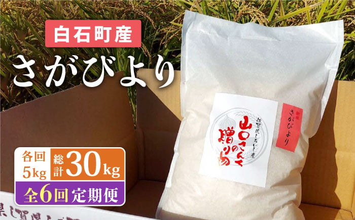 
【先行予約】【6回定期便】 特別栽培米 さがびより 5kg 白米 ～山口さんちの贈り物～【y'scompany】さがびより サガビヨリ [IAS016]
