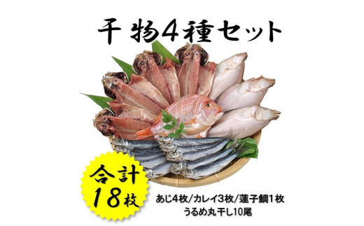 
(1047)干物 山口県産 干物セット アジ開き カレイ 連子鯛 うるめ丸干し 詰合せ 新鮮
