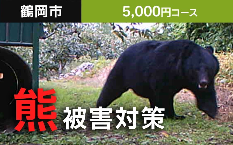 
            【返礼品なし】熊被害対策支援(鶴岡市)　寄附額5,000円コース
          