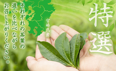 特選都城茶　煎茶・白折味くらべセット≪みやこんじょ特急便≫_MJ-4804-Q_(都城市) 茶葉 上煎茶 100g×3本 上白折 100g×2本 お茶の産地 都城盆地 最高級品 ホット 冷茶 日本茶 