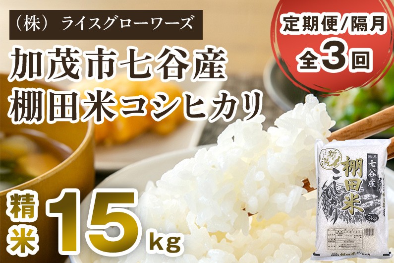 
                  【令和7年産】【定期便3回隔月お届け】七谷産 棚田米 コシヒカリ 精米15kg（5kg×3）《順次出荷》 白米 （株）ライスグローワーズ 新潟県 加茂市産 白米 米 お米 定期便
                