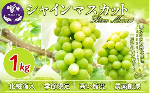 【先行予約】 シャインマスカット 約1kg ＜出荷時期：2025年8月上旬～9月下旬頃＞ぶどう 葡萄 マスカット フルーツ 果物 ゼリー ジュース アイス デザート スイーツ ケーキ グルメ 贈答 ギフト プレゼント 人気 おすすめ 甘い 送料無料 三木ぶどう園 徳島県 阿波市