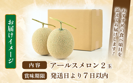 【先行予約】秋 アールスメロン 2玉（約1.6kg以上×2玉）青肉品種 高級メロン！ ／ マスクメロン 大玉 果物 フルーツ ギフト 農家直送 ※2025年9月中旬以降発送  [aw065-a009]