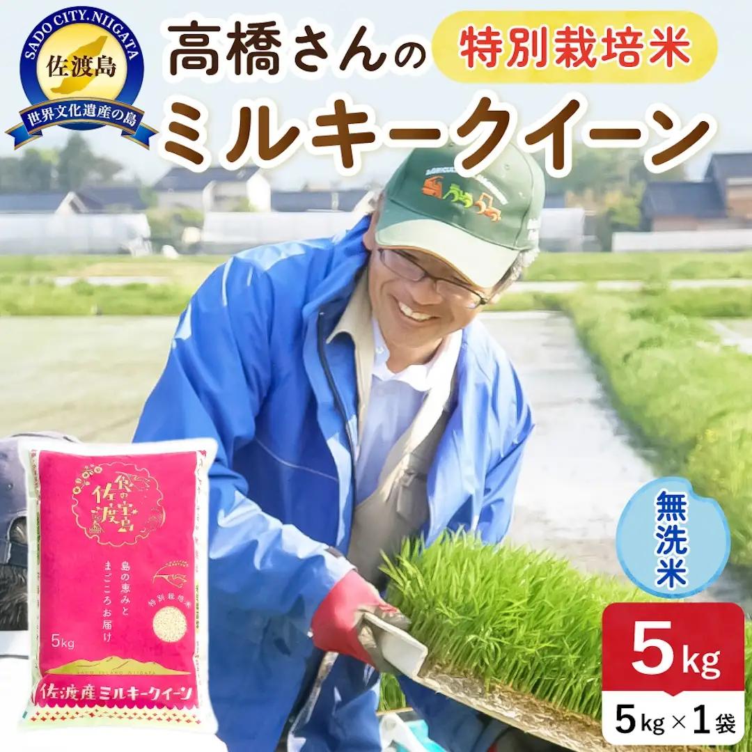 令和8年産 佐渡島産ミルキークイーン 無洗米5kg 特別栽培米