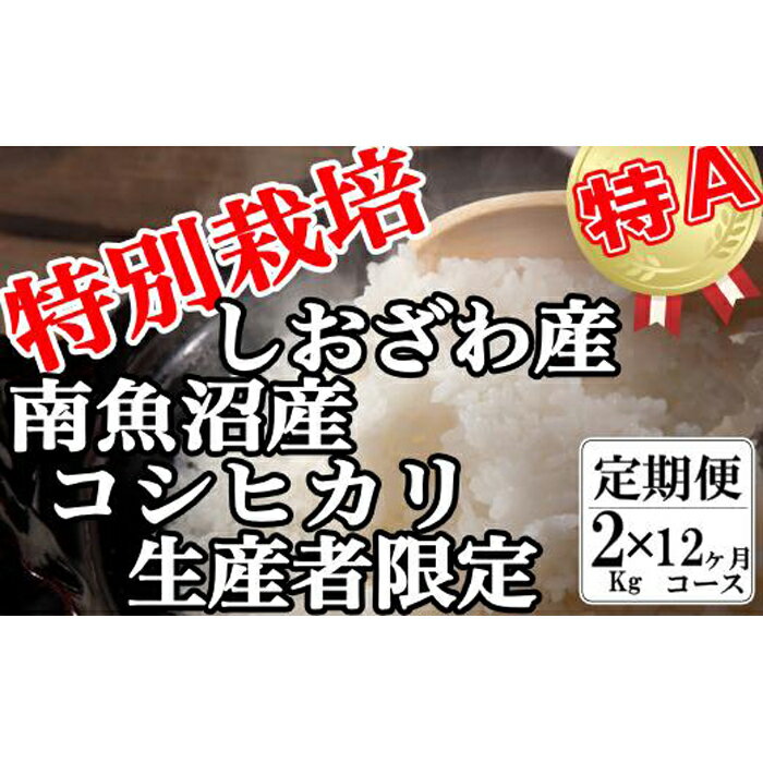 【ふるさと納税】【令和7年産】米 定期便 コシヒカリ 南魚沼しおざわ産 24kg ( 2kg × 12ヶ月 ) 特別栽培【2025年10月上旬より順次発送予定】 | お米 こめ 白米 コシヒカリ 食品 人気 おすすめ 送料無料 魚沼 南魚沼 南魚沼市 新潟県産 新潟県
