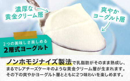 オオヤブデイリーファーム くまもと半熟よーぐるちょ 350g×5個セット【株式会社 オオヤブデイリーファーム】[AYAE004]