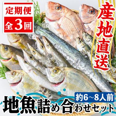 ふるさと納税 肝付町 【3回定期便】魚屋さんの選んだ新鮮お魚詰め合わせ(約6~8人分)　D09002