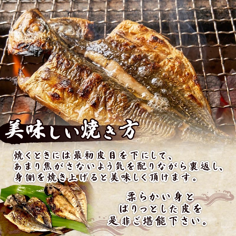 【ほうえい】お楽しみセットH