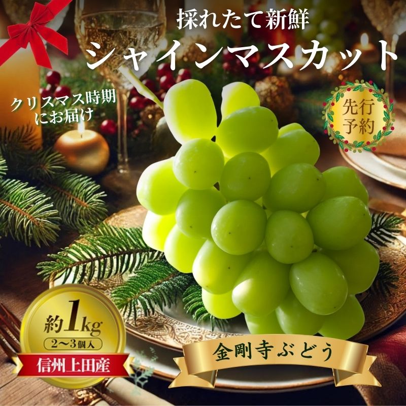 【ふるさと納税】【2026年先行予約】クリスマスにお届け！ シャインマスカット 信州上田産金剛寺ぶどう 1kg 2kg 4kg ぶどう 葡萄 ブドウ マスカット 果物 くだもの フルーツ デザート 旬の果物 旬のフルーツ 長野県 長野　お届け：2026年12月24・25日にお届け
