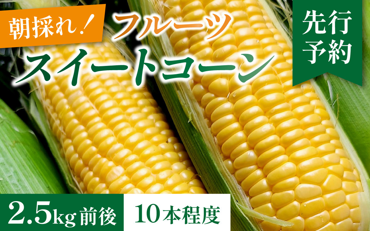 
            【先行予約】永平寺町産朝採れフルーツスイートコーン厳選　高糖度【2025年7月より順次発送】味来９０ ピクニックコーン 永平寺町 野菜 旬 お取り寄せ とうもろこし トウモロコシ コーン スイートコーン 高糖度 味来 特産物 一番果 令和6年 甘い  [A-050001]
          