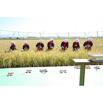 ふるさと納税 能美市 【毎月定期便】石川県産4種のお米食べ比べ定期便　10kg×4ヶ月連続全4回 |  | 01