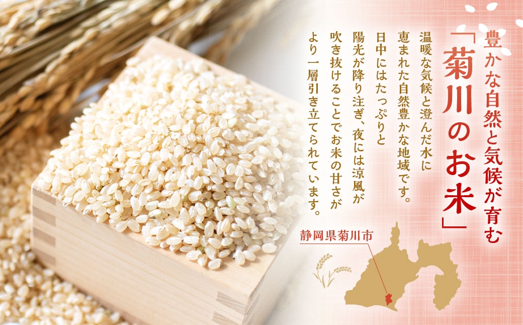 静岡県産コシヒカリ玄米5kg×1袋