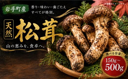 
                  【先行予約】【選べる容量】天然松茸 150g 250g 400g 500g 国産 国産松茸 岩手県産 岩手町産 松茸 まつたけ マツタケ 天然まつたけ きのこ 秋の味覚 旬 希少 山の幸 2026年発送 松茸ご飯 焼き松茸 土瓶蒸し 天ぷら 冷蔵 ギフト 贈り物
                