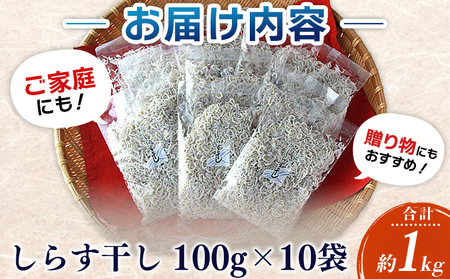＜漁師さん自慢のしらす干し 1kg(100g×10パック)＞ シラス 魚介類 さかな 海産物 海鮮 海の幸 小分け 国産 ご飯のお供 丼 おつまみ 晩酌 おかず おやつ 特産品 産地直送 濱田水産 愛