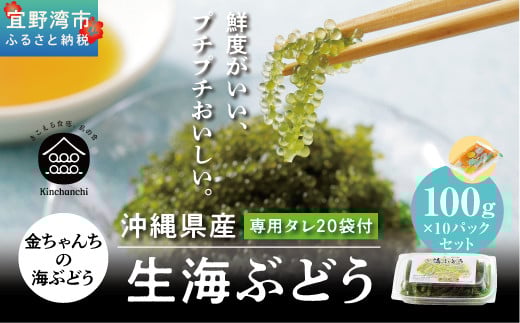 【沖縄県産】生海ぶどう 100g × 10パック セット 専用タレ付き 沖縄県産 | 島食専門店kinchanchi 金ちゃんちの海ぶどう| 鮮度抜群！プチプチ食感。