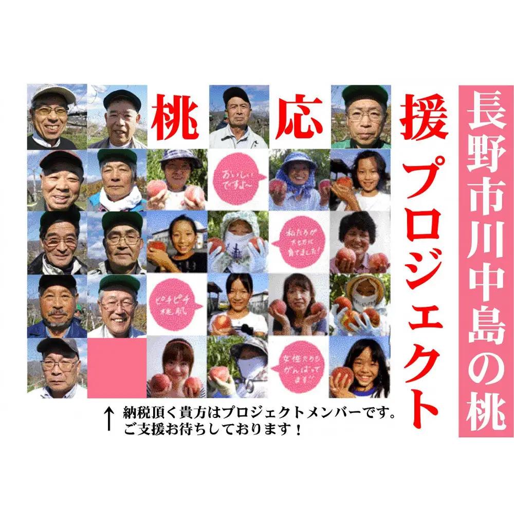 【※2027年7月以降発送分　先行受付】桃 4kg(長野市川中島の桃農家を応援プロジェクト) | 桃　もも