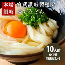 【ふるさと納税】丸亀からお届け！元祖さぬきゆでうどん　10人前　【麺類・うどん・さぬきうどん・讃岐うどん・10人前】