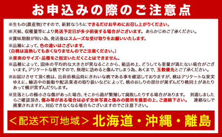 和歌山の 桃 秀選品 約 4kg(9～15玉入り) 1箱 厳選館【配送不可地域あり】《2024年6月末-8月下旬より順次出荷》和歌山県 日高川町 果物 フルーツ 桃 もも