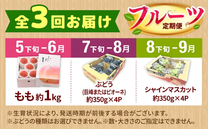 フルーツ 果物 くだもの もも ぶどう シャインマスカット 定期便 旬
