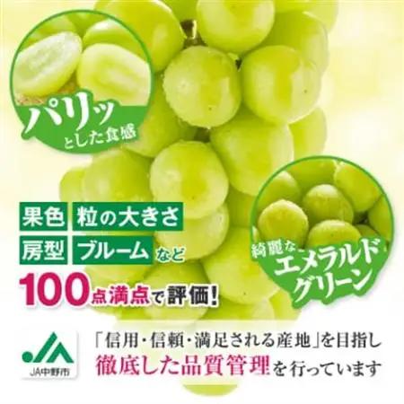 【2026年発送】JA中野市直送　訳ありシャインマスカット2.3kg以上満足セット(4～5房)【配送不可地域：離島】【1594569】