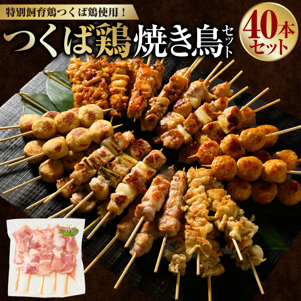 【ふるさと納税】つくば鶏 焼き鳥セット 40本 焼き鳥 焼鳥 肉 お肉 おかず 惣菜 もも肉 ネギま ネギ間 鶏皮 つくね 串 串焼き 食べ比べ セット 冷凍 茨城県 守谷市 送料無料