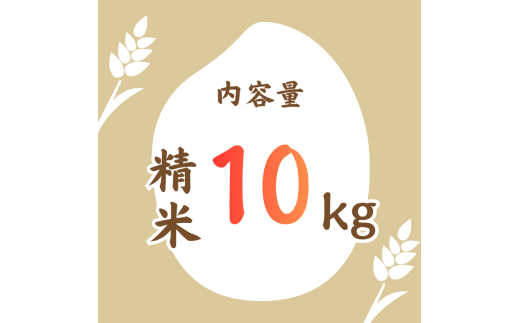 利根町産コシヒカリ　精米10kg ／ 米 こめ コメ お米 おこめ コシヒカリ こしひかり 令和7年産 白米 精米 ご飯 ごはん 10kg 送料無料