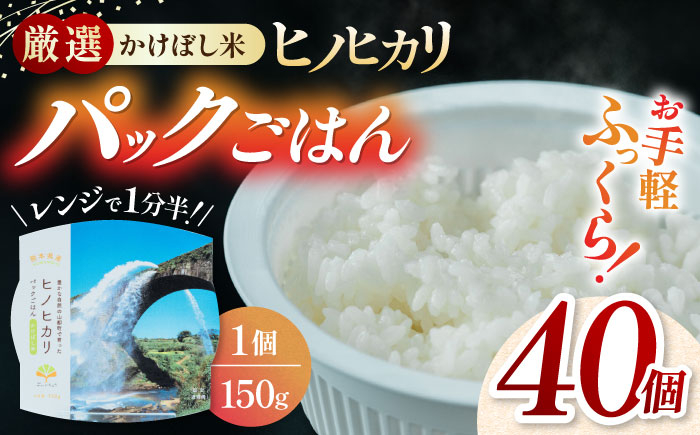 
【数量限定】いちょうの畑 パックご飯 ヒノヒカリ 150ｇ×40パック 【農事組合法人いちょう】 [YDN005]
