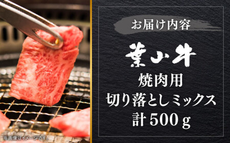 【葉山牛】500g　焼肉用ミックス（ロース、モモ、カルビ等） ／ 焼肉 和牛 牛肉 焼き肉 【葉山牛ステーキレストラン 角車】[ASBD012]