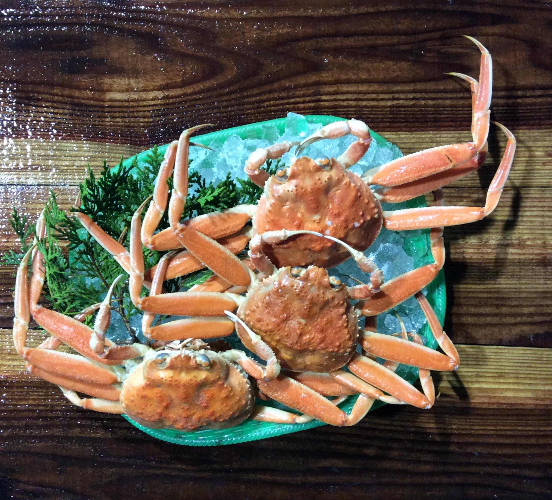 【魚倉】ボイルお任せセコガニ1kgセット