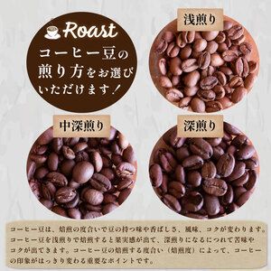 【深煎り】 訳あり コーヒー豆 1kg ( 500g × 2袋 )  エチオピア ( コーヒー 珈琲 コーヒー豆 出荷当日 自家焙煎 数量限定 スペシャルティコーヒー エチオピアコーヒー コーヒータイ