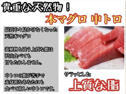 貴重な天然本鮪 赤身 約200g 中トロ 約200g 各2柵ずつ 4～5人前●赤身はマグロの中心部天身を使用！中とろの脂はくどくない上質な脂！【赤身 天身 惣菜 海鮮】【神奈川県小田原市早川】