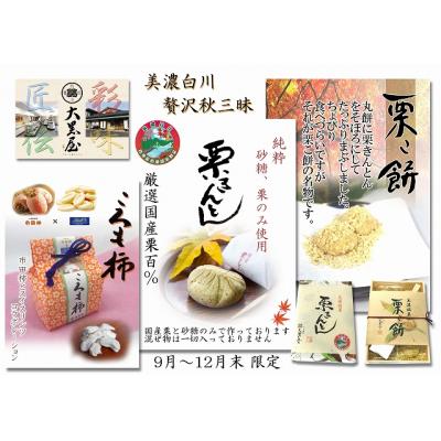 ふるさと納税 白川町 贅沢秋三昧セット