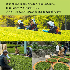 新宮茶おすすめセット