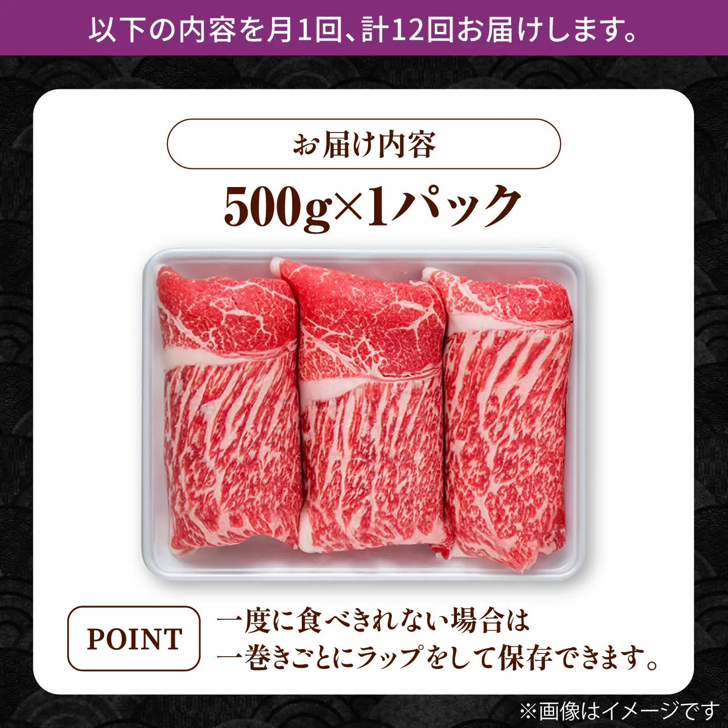 【12回定期便】牛肉切り落とし 500g 牛肉定期便 IAG064