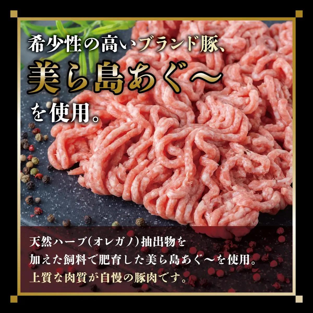 ハンバーグ 120g × 20個（2400g）冷凍【美ら島あぐ～】   