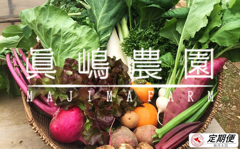 
AE002 【毎月定期便4回】季節のおまかせ野菜セット
