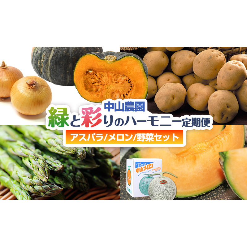【2026年春発送】中山農園から贈る 緑と彩りのハーモニー定期便(アスパラ/メロン/野菜セット) アスパラガス アスパラ メロン フルーツ いも じゃがいも 玉ねぎ たまねぎ かぼちゃ 南瓜 新鮮 野菜 産地直送 果物 甘い 贈り物 ギフト 道産 数量限定 北海道 富良野市