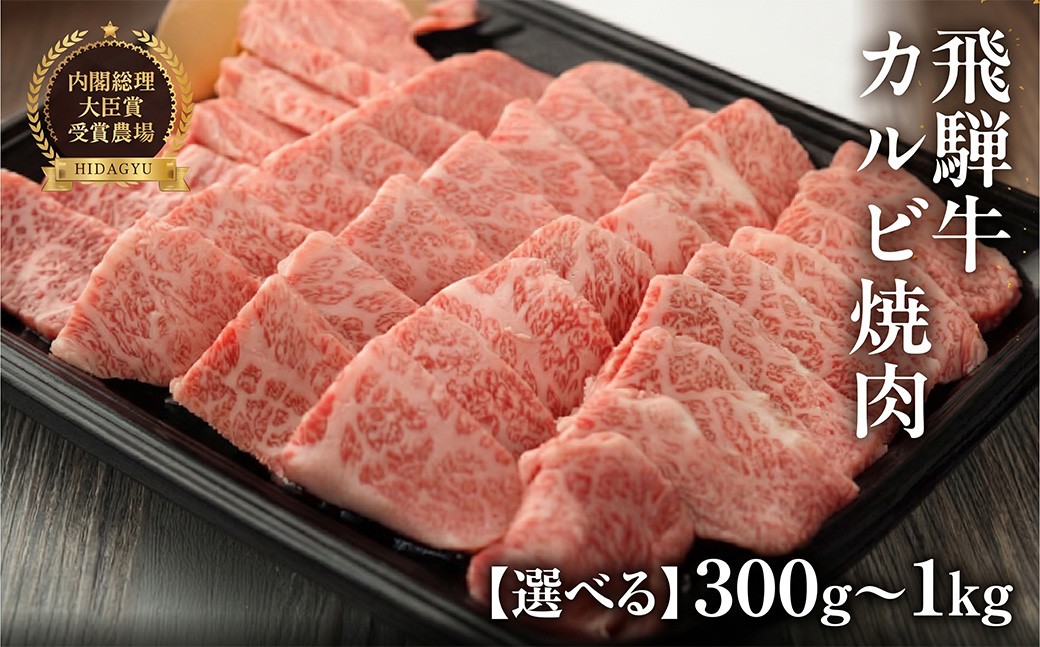 
                  【選べる容量】飛騨牛カルビ焼肉（300g／500g／600g／800g／1kg）焼肉 牛肉 国産 ブランド牛 【冷凍】牛肉 焼き肉 焼肉用 焼き肉用 ギフト 贈答 肉ギフト 贈り物 高級 下呂市 ぎゅうにく ひだ牛 
                