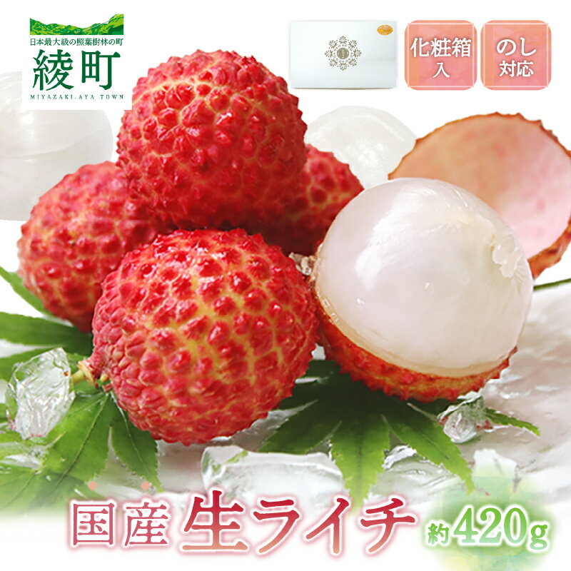 【ふるさと納税】希少 国産 綾生 ライチ 化粧箱入り 420g 9～15玉入り 生ライチ 国産ライチ フレッシュライチ トロピカルフルーツ 南国フルーツ 果物 国産フルーツ 冷蔵 ジューシー 濃厚 フレッシュ 高級フルーツ ギフト プレゼント 贈答 宮崎県 綾町 送料無料 【JA綾町】