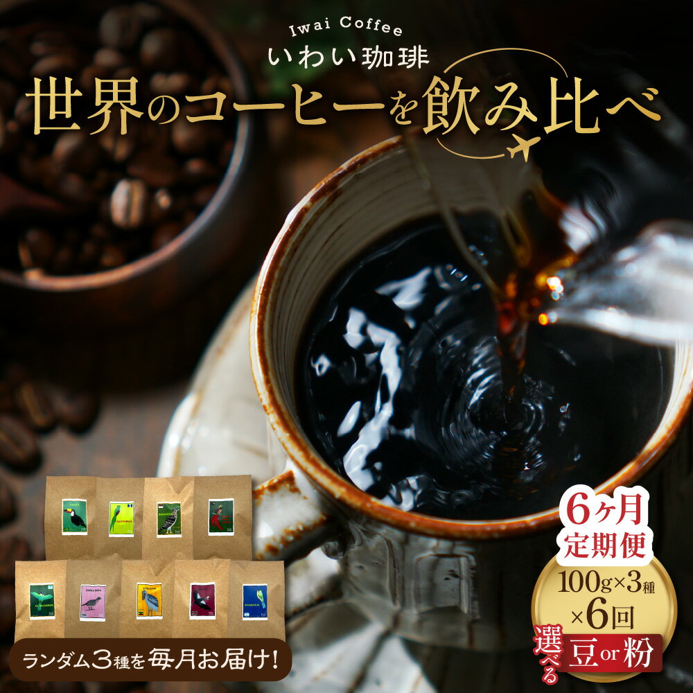 【ふるさと納税】 定期便 コーヒー 【 選べる 種類 】 豆 粉 6ヶ月 3種セット 100g×3袋 世界のコーヒー 飲み比べ 店主厳選 高品質 シングルオリジン スペシャルティコーヒー 珈琲 コーヒー豆 コーヒー粉 ギフト 北海道 札幌市