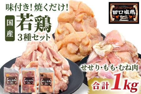  田口塩鶏 国産 若鶏味付け肉 3種セット 1kg（もも肉300g×1・むね肉300g×1・せせり200g×２）もも肉 むね肉 塩ダレ 味付け肉 鶏肉 鶏 肉 奥三河どり キャンプ バーベキュー 味付け肉 大容量 地鶏 焼肉 焼き鳥 -169