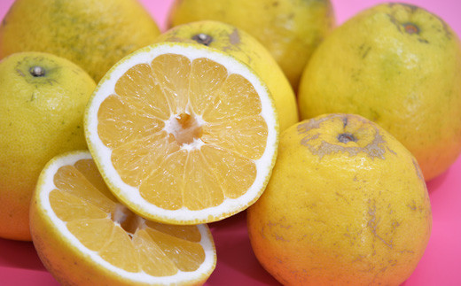 
                  河内晩柑5kg【家庭用】
                