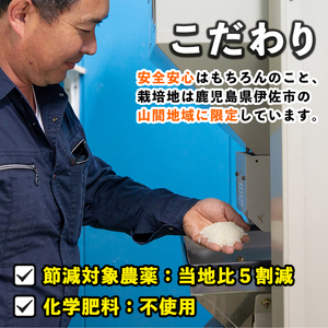 isa518-B 【定期便6回】 ＜無洗米＞令和5年産 鹿児島県伊佐南浦産 ひのひかり5kg・あきほなみ5kg (合計60kg・計10kg×6ヵ月) 国産 白米 精米 無洗米 伊佐米 お米 米 生産者