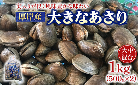 厚岸産あさり 500g×2パック 大中混合 あさり
