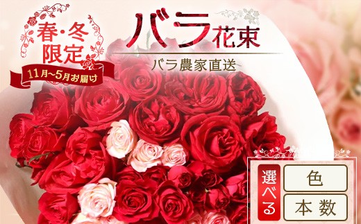 【クリスマス・年内お届けは12/15申込締切】＼選べる本数・カラー／ばら農家直送！春・冬薔薇の花束 日付指定必須 ギフト対応可 TB-9-16SKU｜鹿児島県 南大隅町