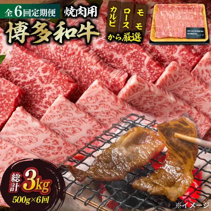 【全6回定期便】博多和牛 焼肉用 500g 牛肉 焼肉 [ABBP034]