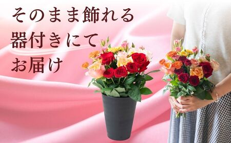 バラの花束 ご自宅用 10本  そもまま飾れる器付き チャーミングローズ 薔薇の花