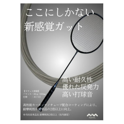 【ふるさと納税】カーボンナノチューブガットモデル・バドミントンセット(ガット張り上げ・ケース付)19lbs×小手姫【1697162】